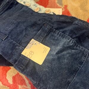 Anthropologie velvet blue overalls